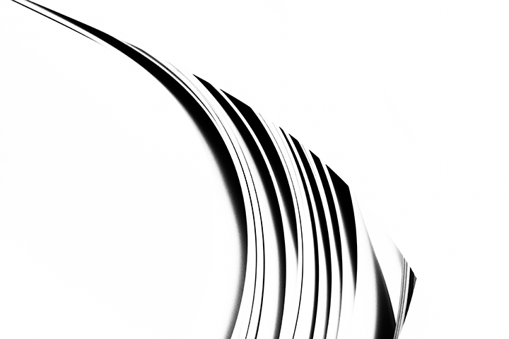Angelfish