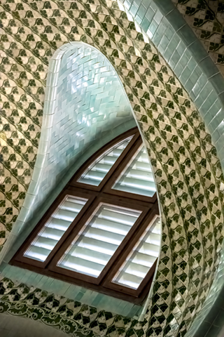 Wonderland Window