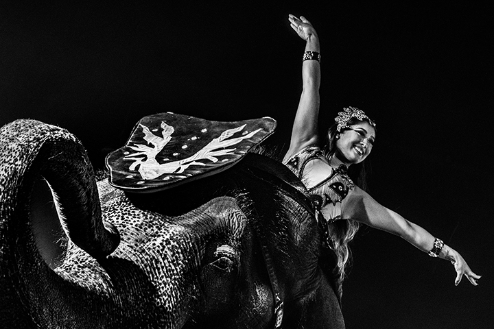The Lady and the Elephant