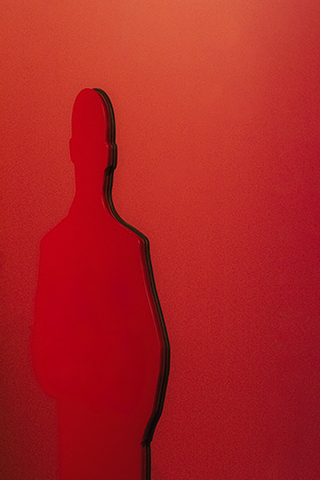Rim Shadow