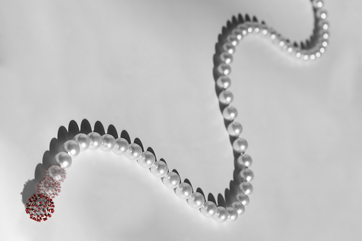 Contact Tracing (was Glenn Miller's Snake before infection)