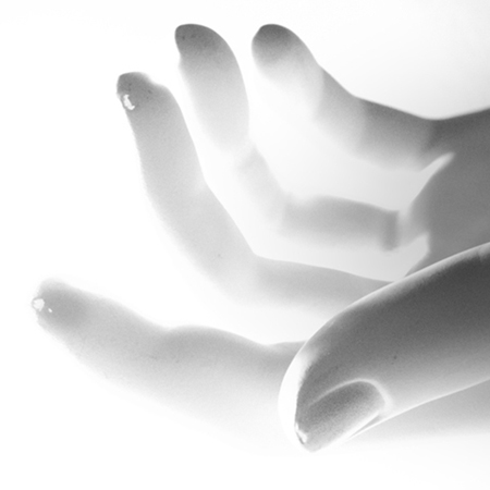 Holding the Light